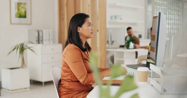 Agence WordPress à Lille : les raisons de faire appel à elle